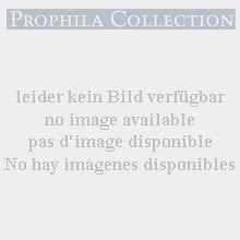 SAFE 5390 Schutzkassette fr Compact A4 Exclusive